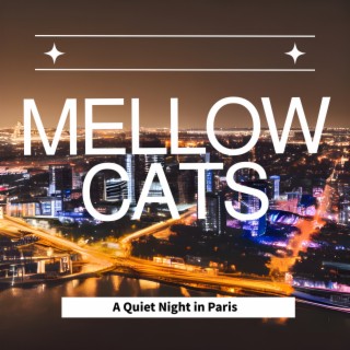 A Quiet Night in Paris