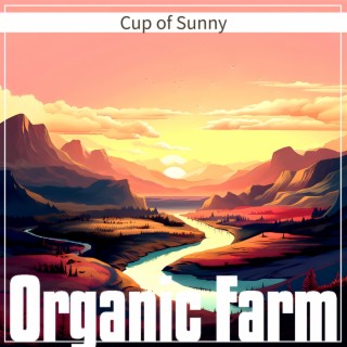 Cup of Sunny