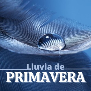 Lluvia de Primavera: Sonidos de Lluvia Ligera para Descansar Bien