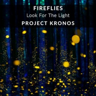 Fireflies, Look For The Light