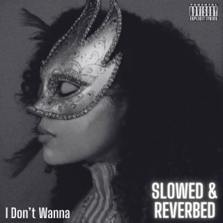 I Don't Wanna (Slowed + Reverb)