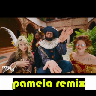 Chu chu pamela (RMX electronica)