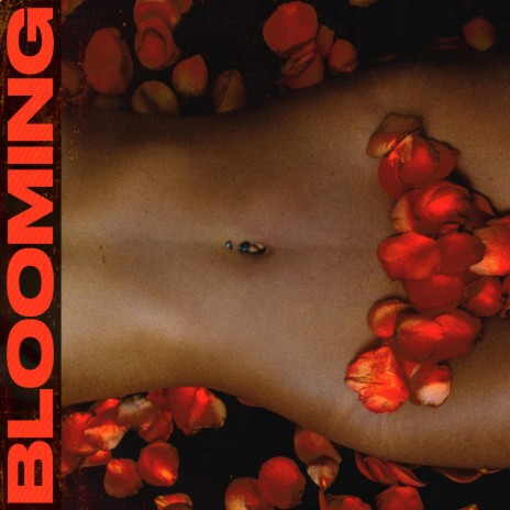 Blooming | Boomplay Music