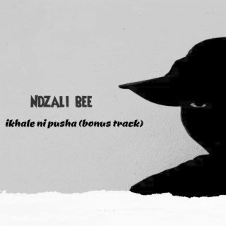 Ikhale Ni Pusha (Bonus Track)