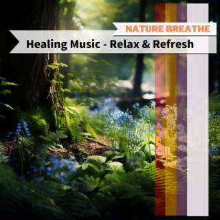 Healing Music - Relax & Refresh