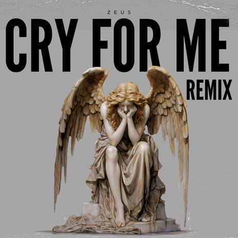 Cry for Me | Boomplay Music