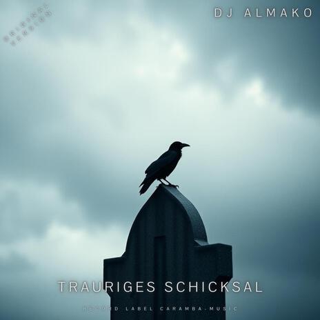 TRAURIGES SCHICKSAL | Boomplay Music