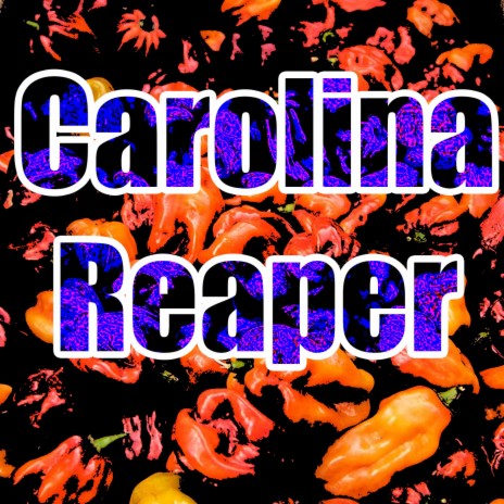 Carolina Reaper | Boomplay Music