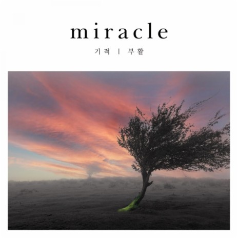 Miracle | Boomplay Music