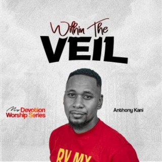 Within The Veil (My Devotion Worship Series) | Boomplay Music