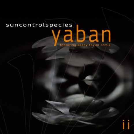 Yaban (Original Mix) | Boomplay Music