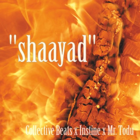 shaayad ft. Collective Beats & Instine | Boomplay Music