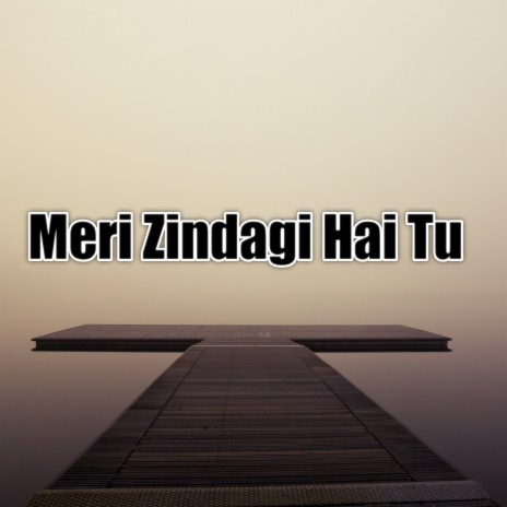 Meri Zindagi Hai Tu | Boomplay Music