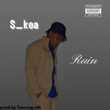 S_kea Ruin | Boomplay Music