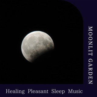 Healing Pleasant Sleep Music