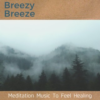 Meditation Music To Feel Healing