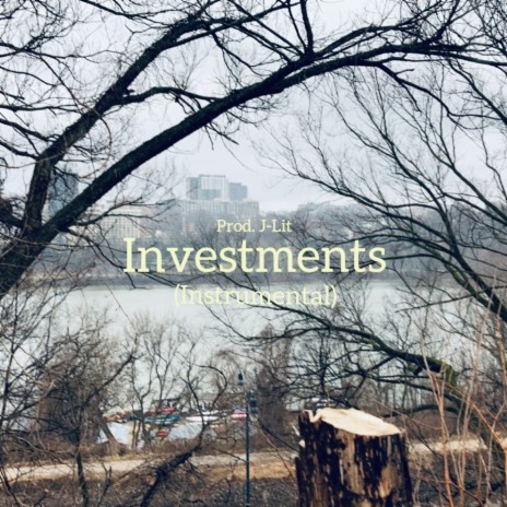 Investments (Instrumental)
