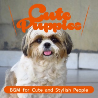 BGM for Cute and Stylish People