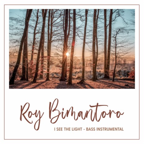 I See the Light | Boomplay Music