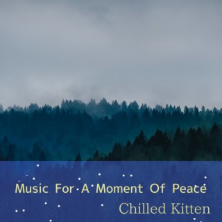 Music For A Moment Of Peace