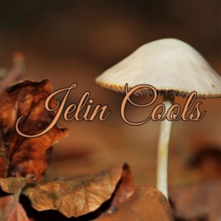 Jelin Cools