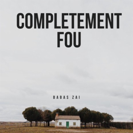 Completement fou | Boomplay Music