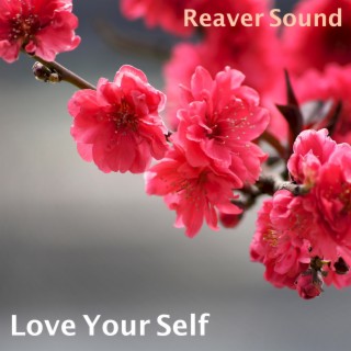 Reaver Sound