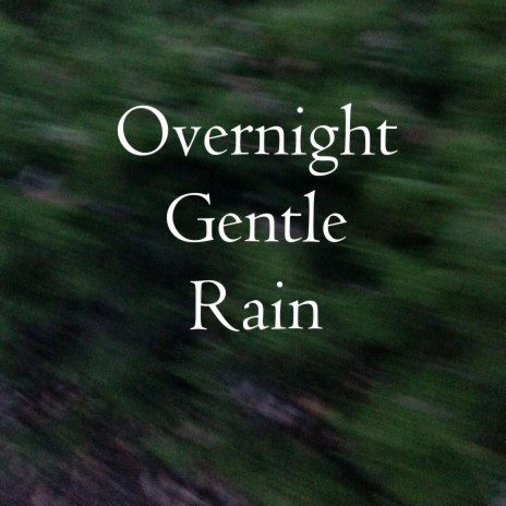 Overnight Gentle Rain, Pt. 8