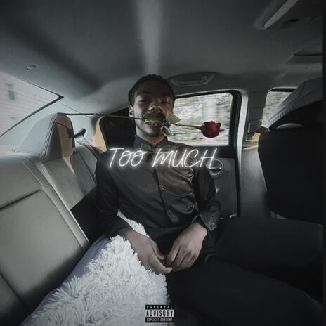 Too much | Boomplay Music