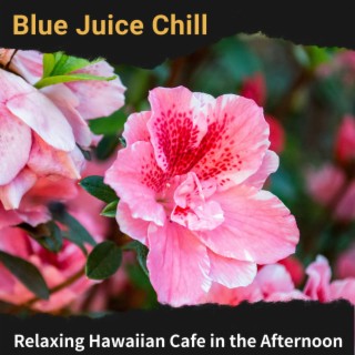 Relaxing Hawaiian Cafe in the Afternoon