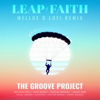 Leap of Faith (Melloe D LoFi Remix)