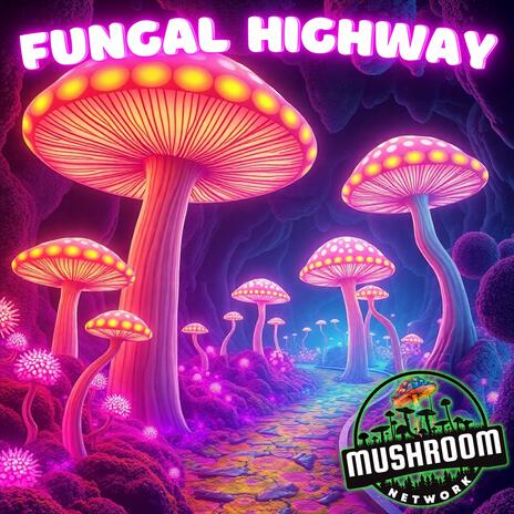 Fungal Highway (Another Myco-Verse Remix) | Boomplay Music