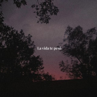 La vida te pesó lyrics | Boomplay Music