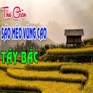 THƯ GIÃN VỚI TIẾNG SÁO MÈO VÙNG CAO TÂY BẮC