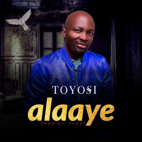 Alaaye | Boomplay Music