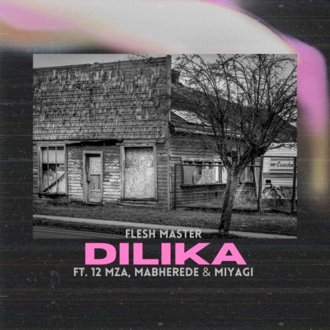 Dilika ft. 12 Mza, Miyagi & Mabherede | Boomplay Music