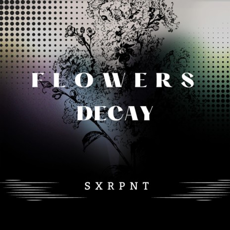 Flowers Decay | Boomplay Music