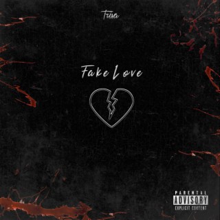 Fake Love