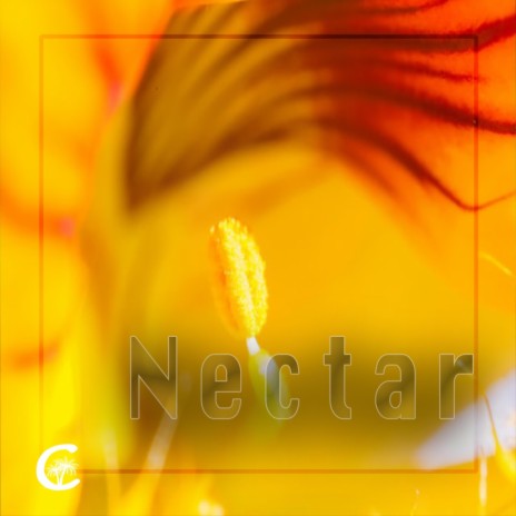 Nectar | Boomplay Music