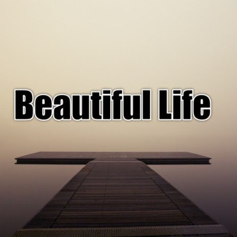 Beautiful Life | Boomplay Music