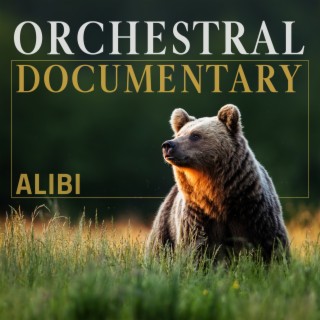 Documentary Orchestral
