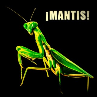 ¡MANTIS!