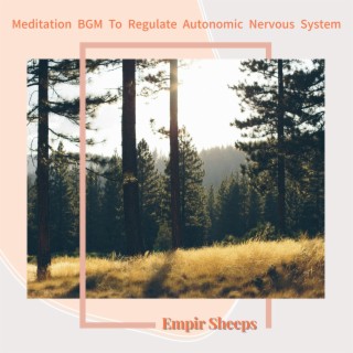 Meditation Bgm to Regulate Autonomic Nervous System