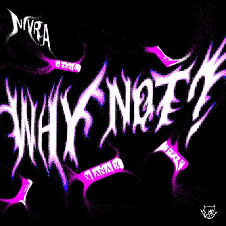 Why Not | Boomplay Music