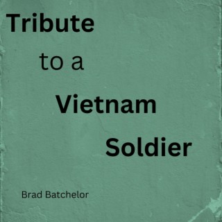 Tribute to a Vietnam Soldier