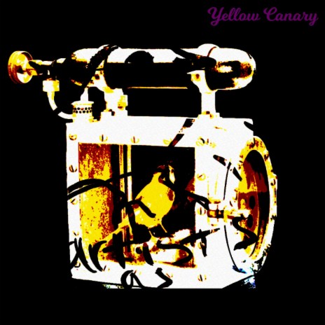 Yellow canary