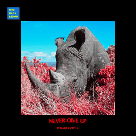 Never Give Up ft. Cody K | Boomplay Music