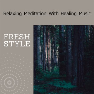 Relaxing Meditation With Healing Music