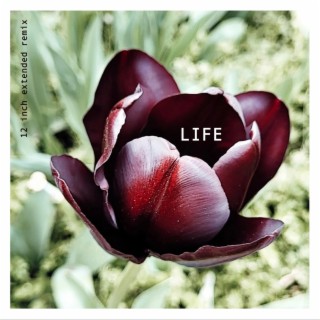 Life (12 extended remix)