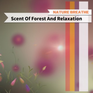 Scent Of Forest And Relaxation